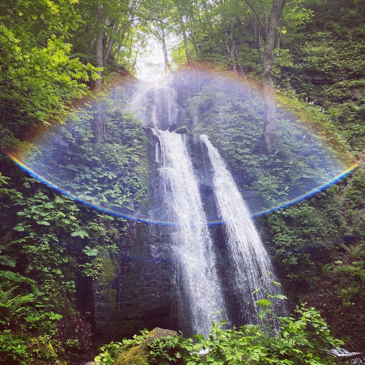 初めての奥入瀬渓流。
天気も最高で、カモシカにも出会えました♪
次回は紅葉...