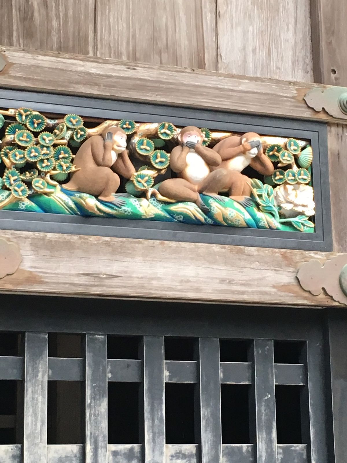 9月のフラワーパークはほぼ花ない