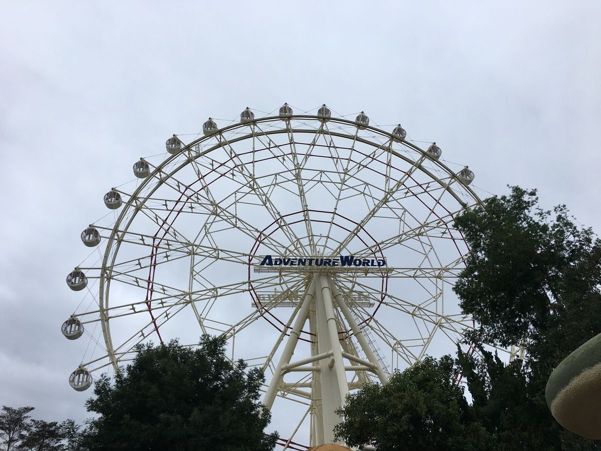 小学生の頃は毎年のように行ってた。アドベンチャーワールドめっちゃ好き。