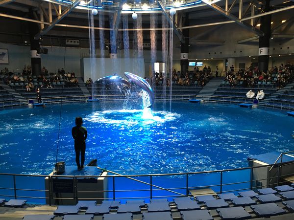 日本・神奈川県「水族館巡り※ひとり旅」の写真