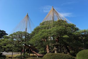 夜行バスで金沢駅到着！早速兼六園へ。一眼レフ大活躍！