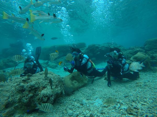 日本・沖縄県「沖縄旅行」の写真：たまにはひとりじゃない旅も悪くない。ひと...