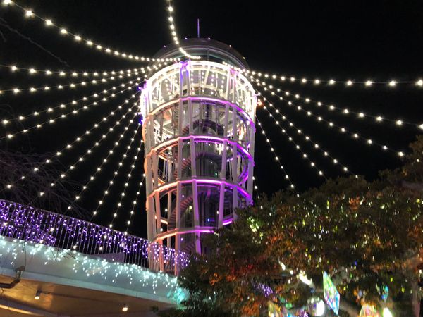 日本・神奈川県「高尾山・江ノ島」の写真