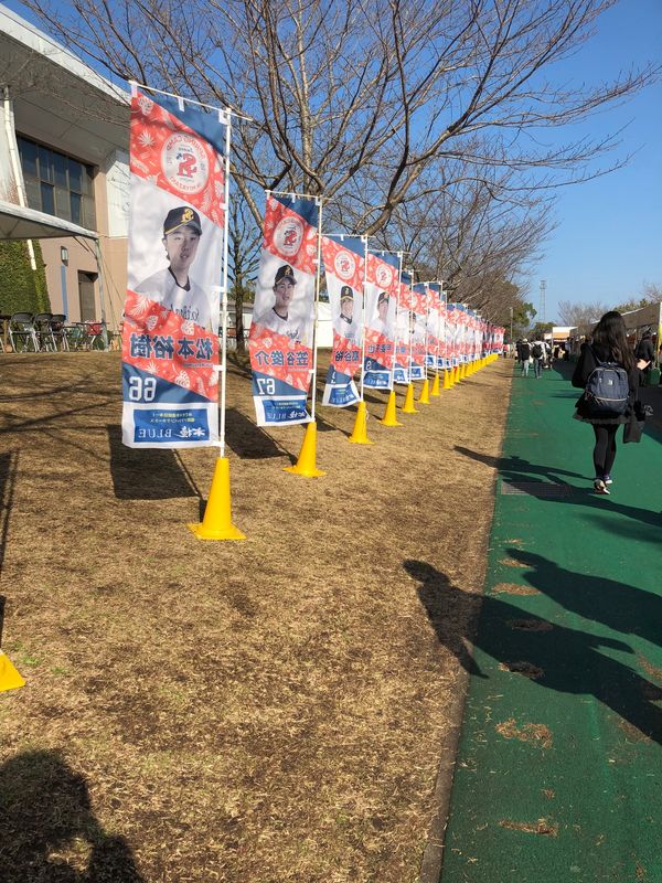日本・鹿児島県「宮崎・鹿児島※ひとり旅」の写真