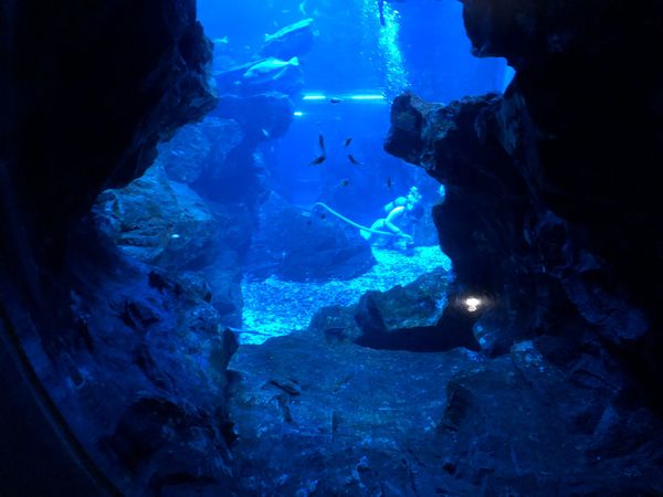 日本・京都府「京都・大阪・兵庫・鳥取」の写真