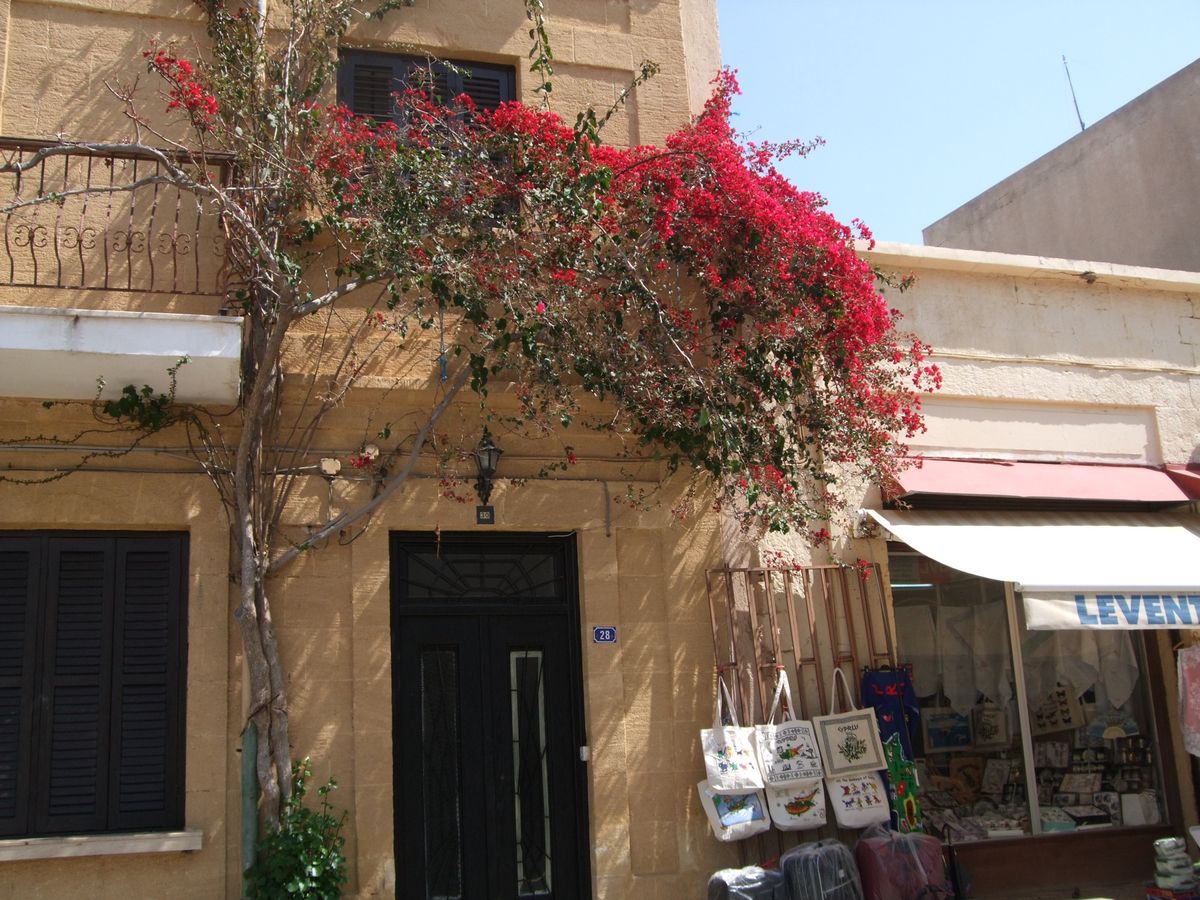 ファマグスタの街角とあちこちにある教会の廃墟
修復して観光施設にすればいい...