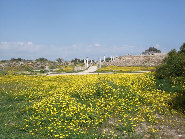 キプロス・北キプロス「北キプロス」の写真：北キプロスのファマグスタ　シェイクスピア...