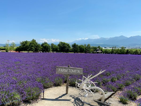 日本・北海道「北海道　レンタカーの旅」の写真