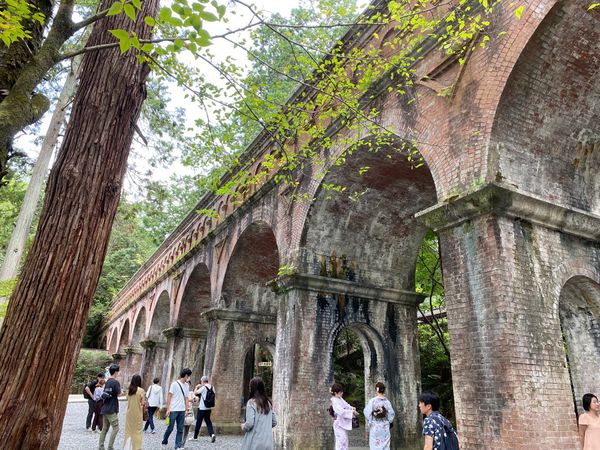 日本・京都府「京とれいん「雅洛」で行く京都」の写真