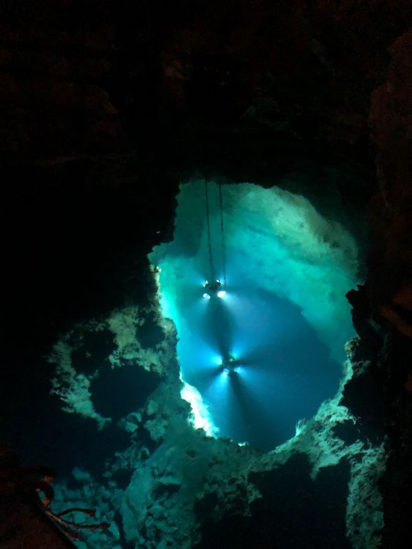 日本・青森県「青森・岩手・宮城※ひとり旅」の写真：バスで龍泉洞へ。ちびコウモリおった。