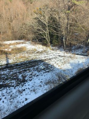 バスで龍泉洞へ。ちびコウモリおった。