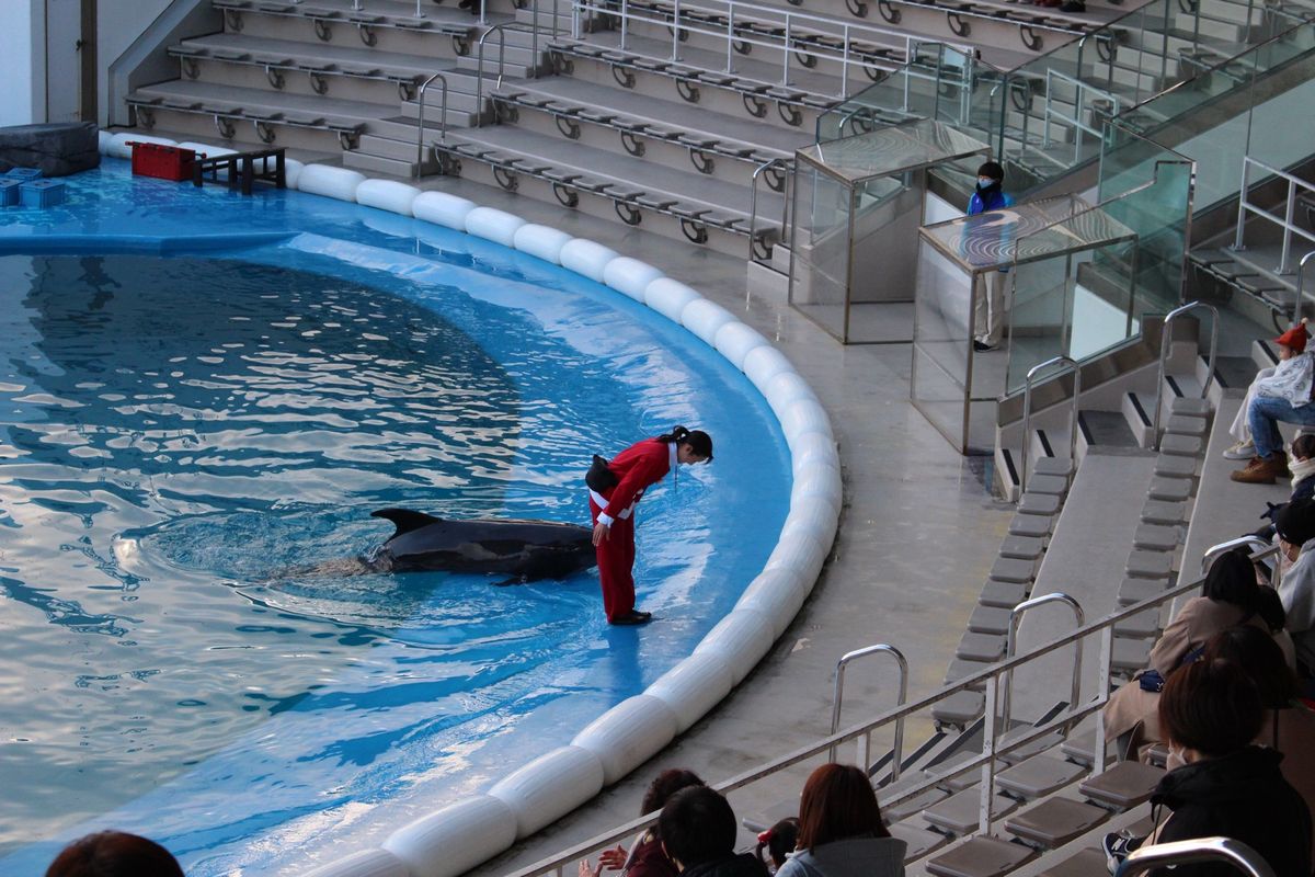 利久で牛タン定食、うみの杜水族館行って帰宅。