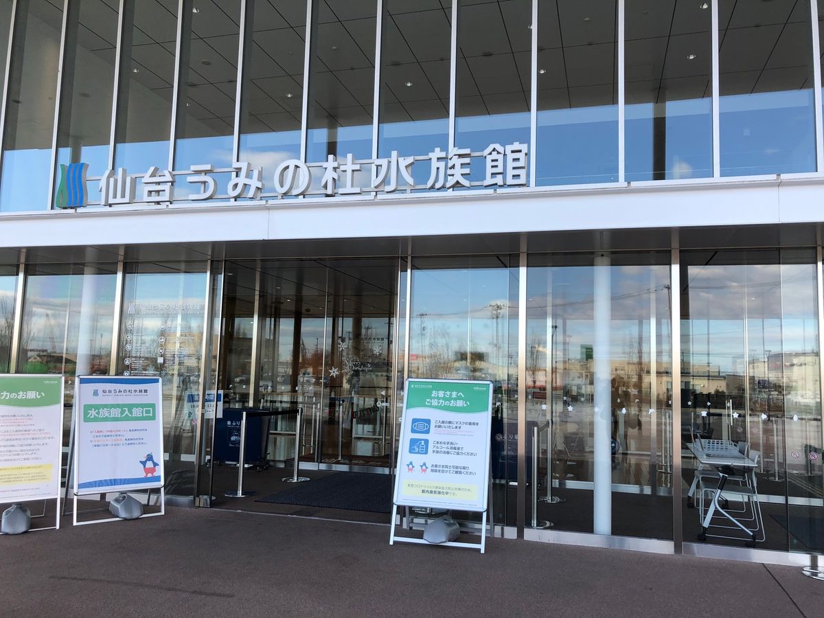 利久で牛タン定食、うみの杜水族館行って帰宅。