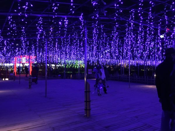 日本・栃木県「栃木」の写真