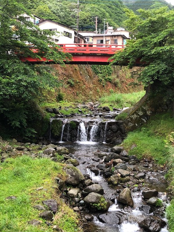 「大山登山」の写真：天気悪かったけど‥