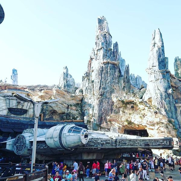 アメリカ(米国)・オーランド「SFC修行　WDW」の写真