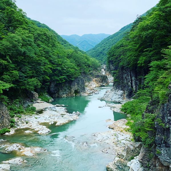日本・鬼怒川温泉「温泉」の写真
