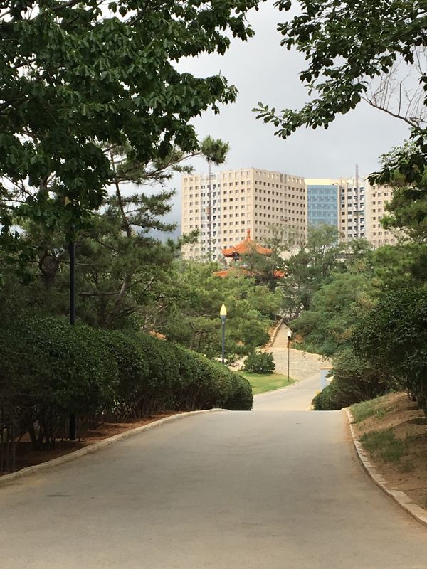 「中国」の写真