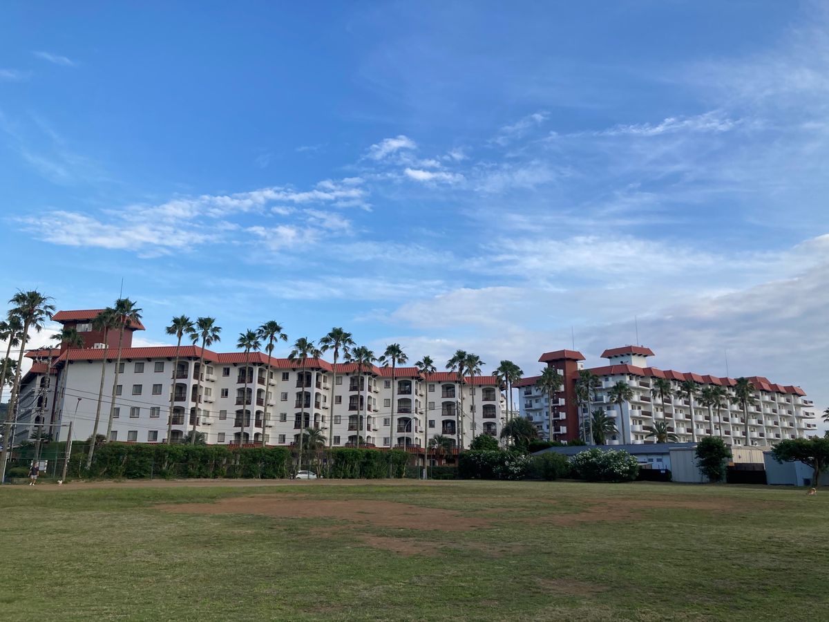 椰子の木上手に撮れなかったです。長谷寺駅→稲村ヶ崎の温泉→逗子マリーナ→鎌...