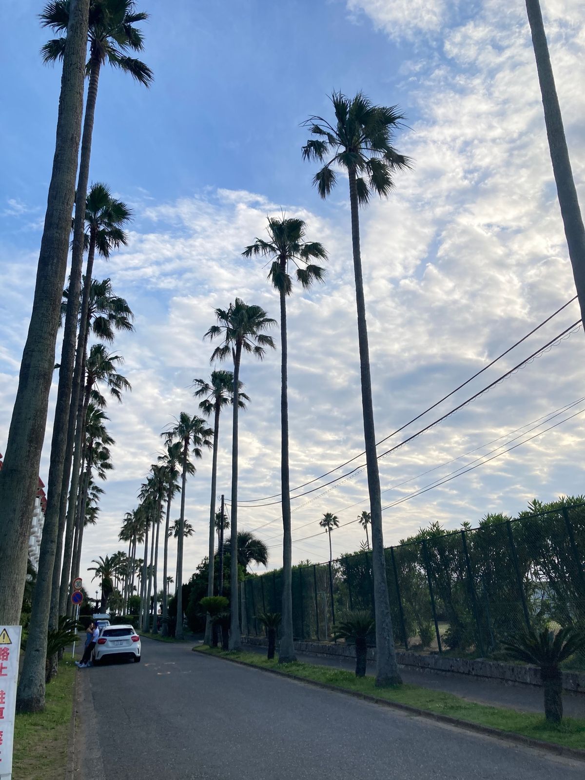 椰子の木上手に撮れなかったです。長谷寺駅→稲村ヶ崎の温泉→逗子マリーナ→鎌...