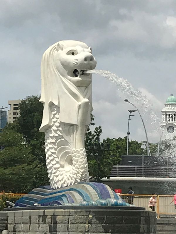 シンガポール「年越しシンガポール」の写真