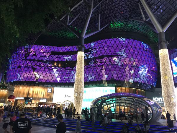 シンガポール「シンガポール」の写真