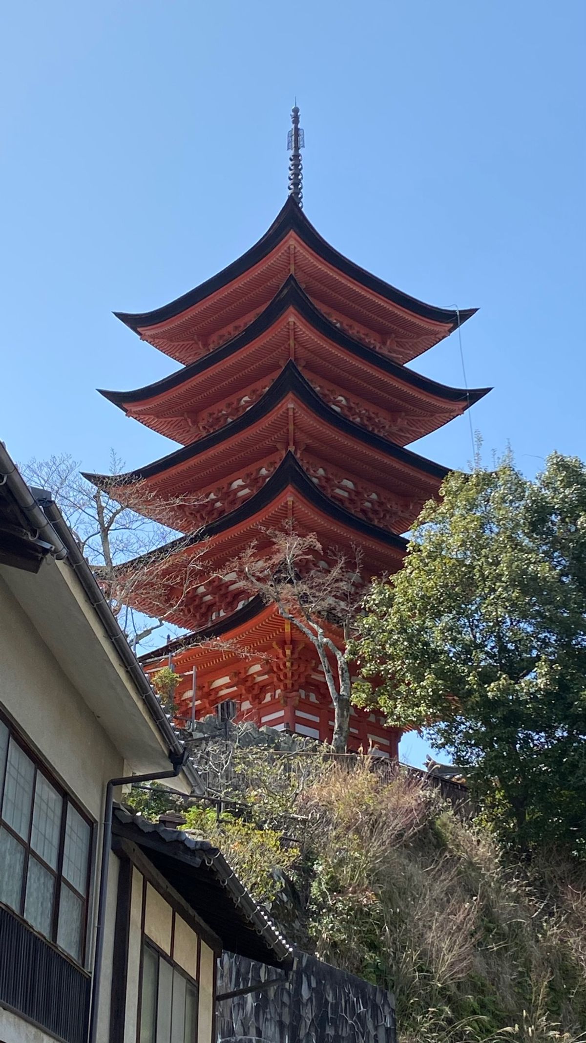 大鳥居は残念ながら工事中でした。
あなごめしが美味しかったです！