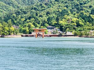 宮島水族館へ
カワウソの手がやわらかでした✨