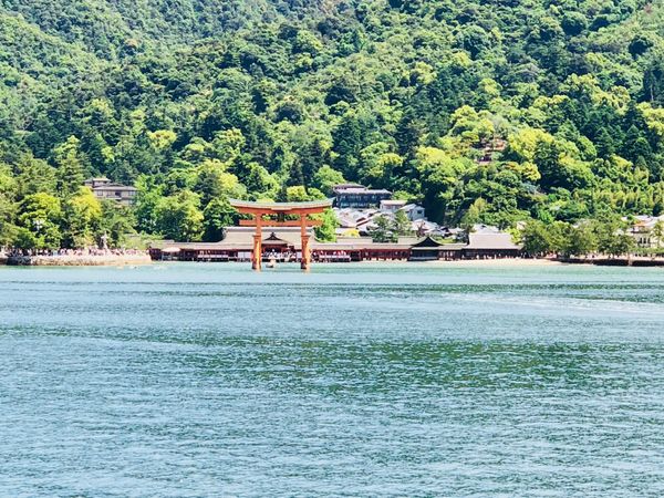 日本・広島県「宮島⛩水族館」の写真：宮島水族館へ
カワウソの手がやわらかでした✨