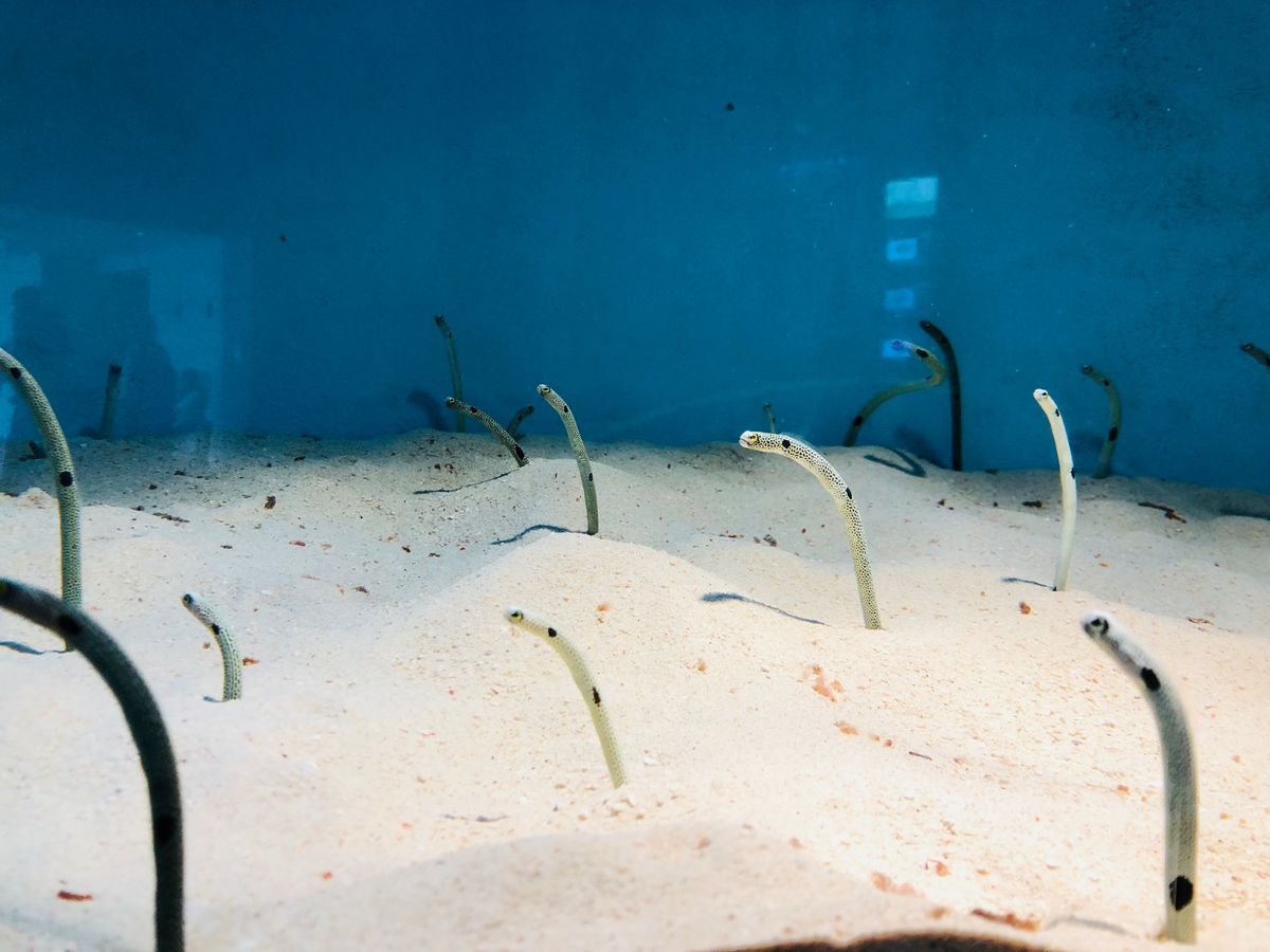 宮島水族館へ
カワウソの手がやわらかでした✨