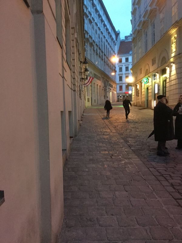 オーストリア・ウィーン「Vienna 」の写真