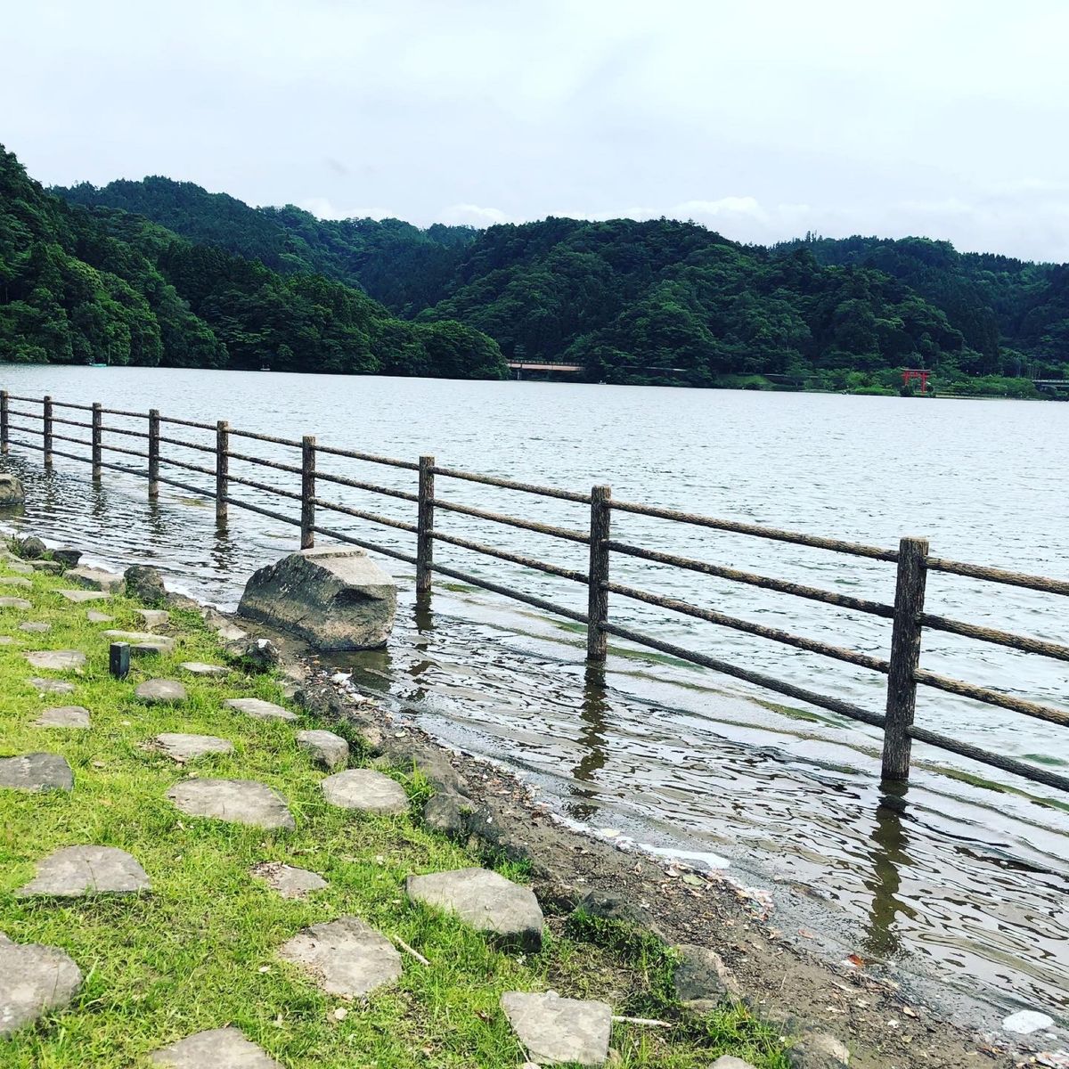 湖畔公園をテクテク。
水位が高いのか、公園の一部が若干水没していた。

こ...