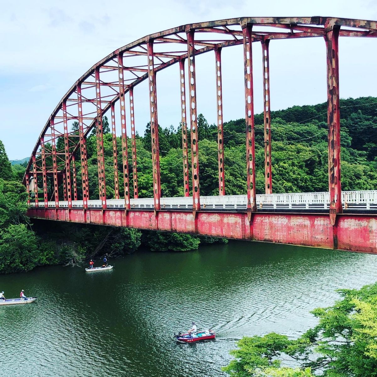 湖畔公園をテクテク。
水位が高いのか、公園の一部が若干水没していた。

こ...