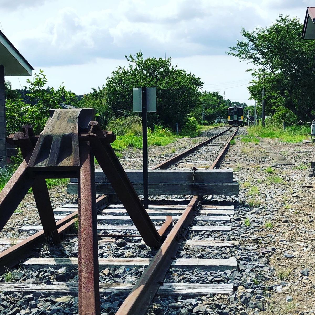 湖畔公園をテクテク。
水位が高いのか、公園の一部が若干水没していた。

こ...