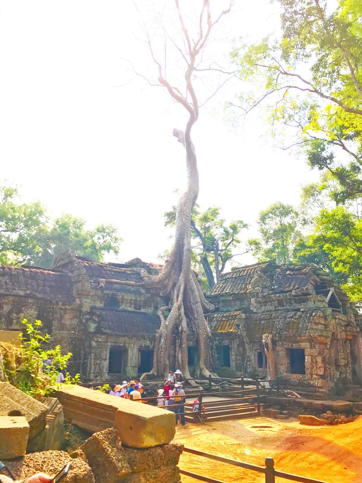 27th Feb. 2017 pic📷

តាព្រហ្ម/Ta Proh...