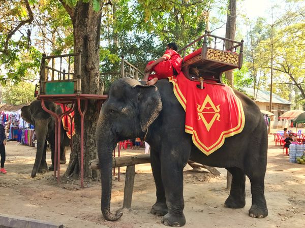 ベトナム・ハノイ「🇻🇳and🇰🇭job⚑⁎∗」の写真：28th Feb. 2017 pic📷
...