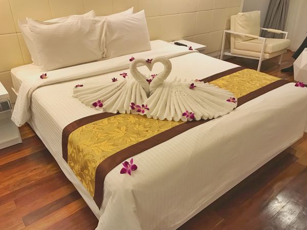 ベトナム・ハノイ「🇻🇳and🇰🇭job⚑⁎∗」の写真：25th Feb. 2017 pic📷
...