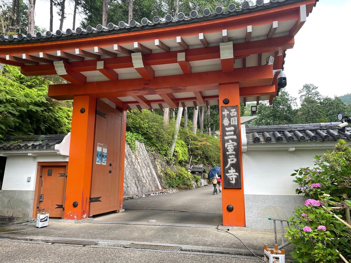 宇治の三室戸寺。色鮮やかな紫陽花が咲いていました。