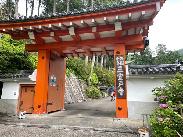 日本・京都府「京都紫陽花の旅」の写真：宇治の三室戸寺。色鮮やかな紫陽花が咲いて...