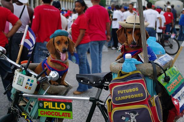 キューバ・サンティアゴ「Cuba」の写真