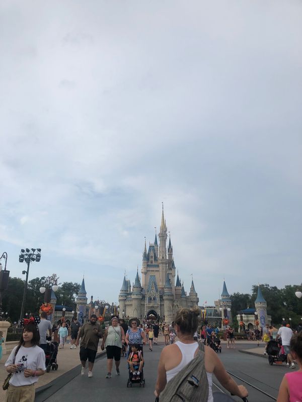 アメリカ(米国)・オーランド「ディズニーワールド🏰」の写真