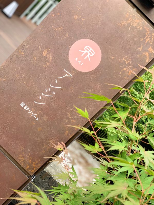 日本・静岡県「界　アンジン」の写真