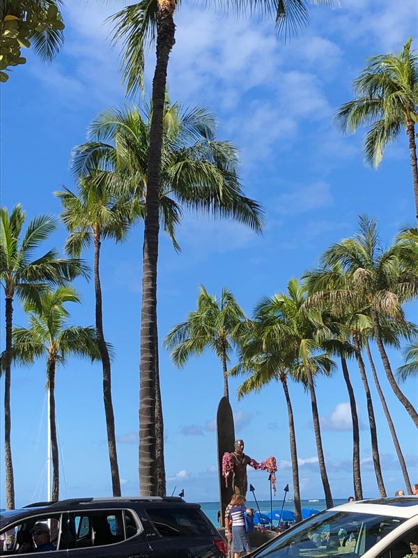 アメリカ(米国)・オアフ島「ハワイ」の写真