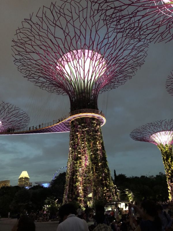 シンガポール「シンガポール」の写真