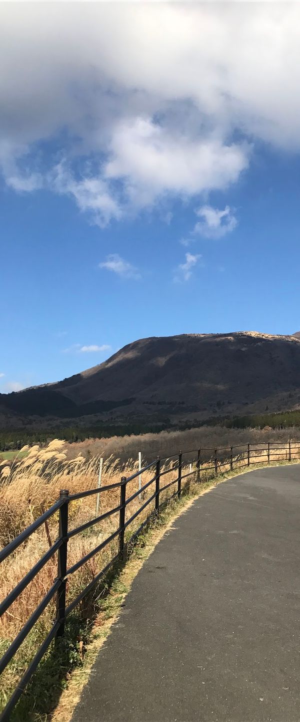 日本・大分県「大分旅行」の写真