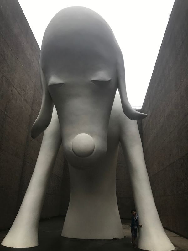 日本・青森県「青森旅行」の写真