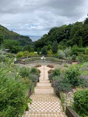 遅咲きの薔薇🌹を見に行ってみた。
