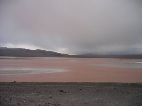 ボリビア多民族国・ラパス「Bolivia」の写真