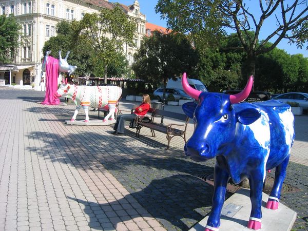 スロバキア「Bratislava」の写真