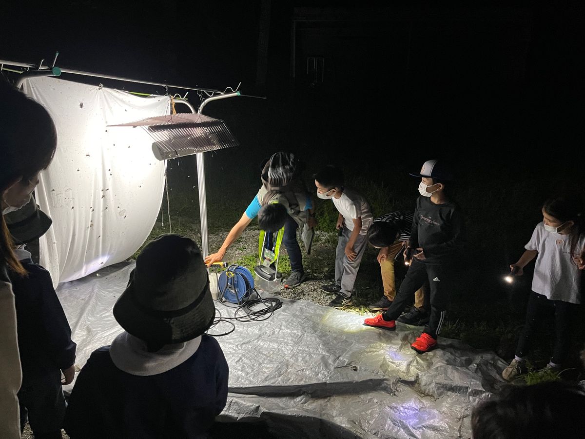 夜は再度ネイチャーキッズ森の家で『カブトムシの森　夜の昆虫観察会』

夜の...